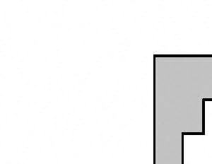 ls-569
